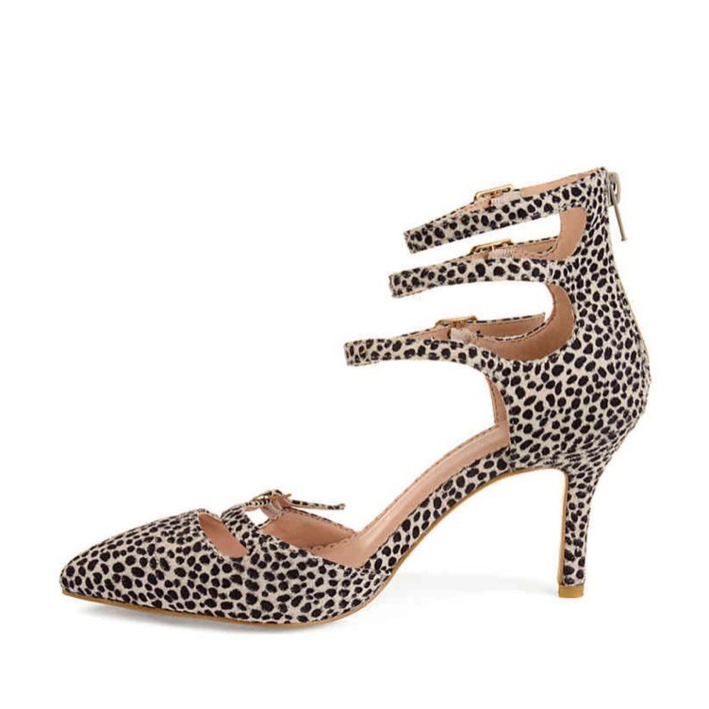 Cheetah pump. - Picture 4 of 6